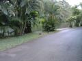 gal/Ile Maurice/_thb_SP_A0074_Pamplemouse_Garden_Pamplemousses_Garden.jpg